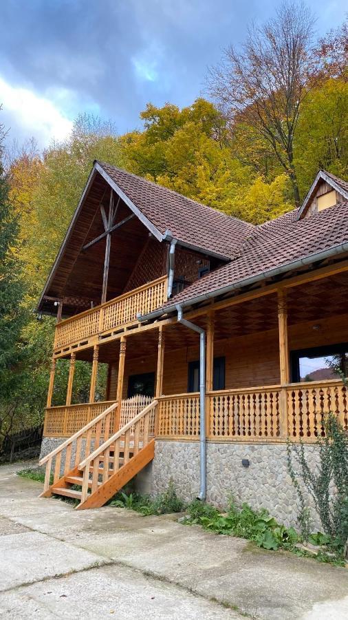 V13 Wild Cabin - Traditional Mountain Cabin With Cosy Modern Rooms Gura Teghii 외부 사진