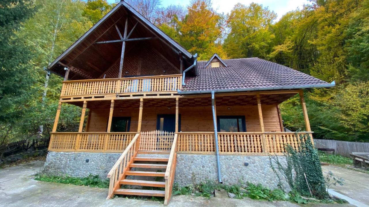 V13 Wild Cabin - Traditional Mountain Cabin With Cosy Modern Rooms Gura Teghii 외부 사진