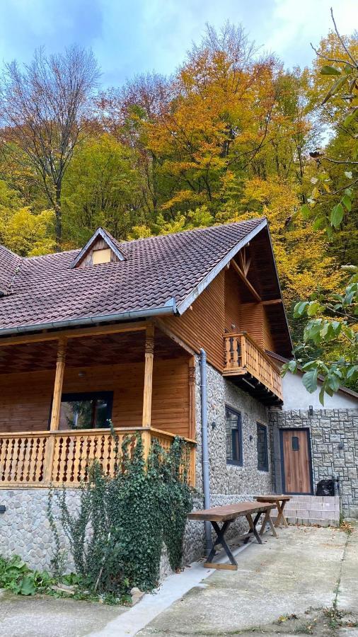 V13 Wild Cabin - Traditional Mountain Cabin With Cosy Modern Rooms Gura Teghii 외부 사진